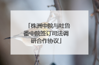 株洲中院与吐鲁番中院签订司法调研合作协议